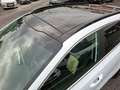 Kia Sportage 1.6 GDI Black Edition Glasdach Bi-LED Klima Blanc - thumbnail 13