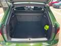 Audi RS4 RS4 Avant 2.9 TFSI q. S-Tronic, Panoramadach, Am Grün - thumbnail 15