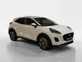 Ford Puma 1,0 EcoBoost Hybrid Titanium Weiß - thumbnail 7