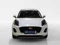 Ford Puma 1,0 EcoBoost Hybrid Titanium Weiß - thumbnail 8