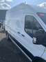 Ford Transit Bus L4H3 bijela - thumbnail 11