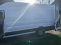 Ford Transit Bus L4H3 bijela - thumbnail 15