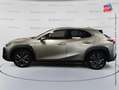Lexus UX 250h 250h 2WD F SPORT Executive MY20 Grau - thumbnail 9