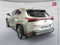 Lexus UX 250h 250h 2WD F SPORT Executive MY20 Grau - thumbnail 8