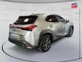 Lexus UX 250h 250h 2WD F SPORT Executive MY20 Grau - thumbnail 6