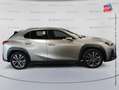 Lexus UX 250h 250h 2WD F SPORT Executive MY20 Grau - thumbnail 4
