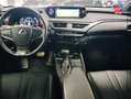 Lexus UX 250h 250h 2WD F SPORT Executive MY20 Grau - thumbnail 17