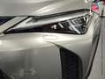 Lexus UX 250h 250h 2WD F SPORT Executive MY20 Grau - thumbnail 13