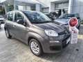 Fiat Panda 1.2 EasyPower Easy LEGA+COMANDI AL VOLANTE Grigio - thumbnail 1