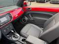 Volkswagen Beetle 2.5 TSI DSG Cabriolet*Automatik Rot - thumbnail 17