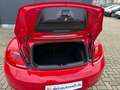 Volkswagen Beetle 2.5 TSI DSG Cabriolet*Automatik Rot - thumbnail 12