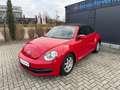 Volkswagen Beetle 2.5 TSI DSG Cabriolet*Automatik Rot - thumbnail 3