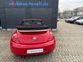 Volkswagen Beetle 2.5 TSI DSG Cabriolet*Automatik Rot - thumbnail 10