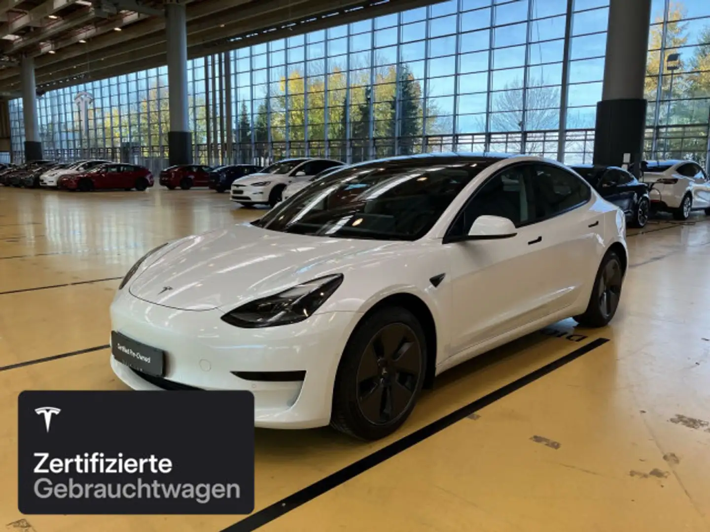 Tesla Model 3 Rear-Wheel Drive Blanc - 2