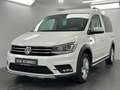 Volkswagen Caddy PKW Alltrack 5 Sitze Ahk Xenon Navigation Blanc - thumbnail 1