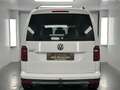 Volkswagen Caddy PKW Alltrack 5 Sitze Ahk Xenon Navigation Blanc - thumbnail 9