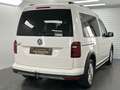 Volkswagen Caddy PKW Alltrack 5 Sitze Ahk Xenon Navigation Blanc - thumbnail 8