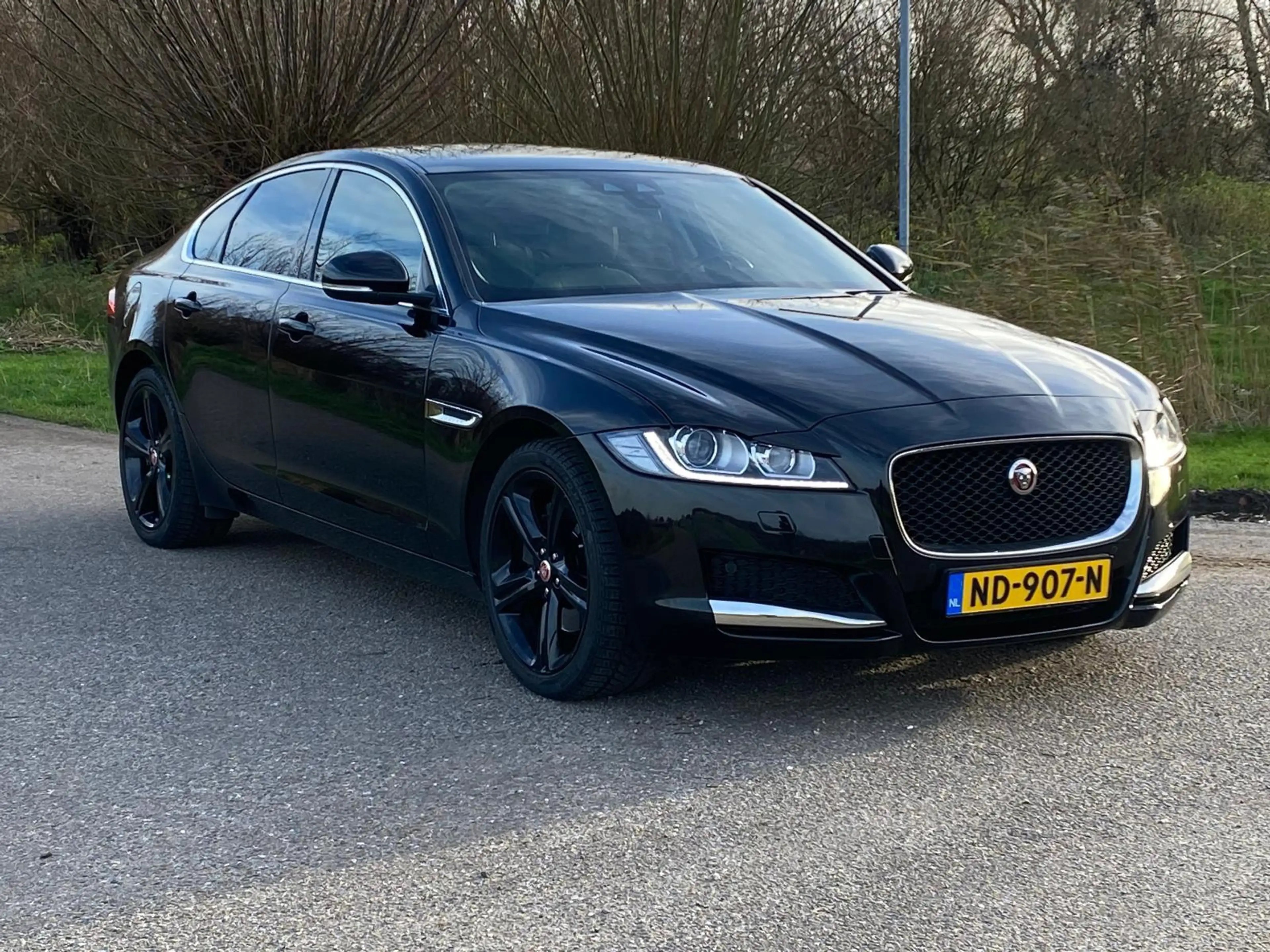 Jaguar XF 2.0 Portfolio Leder-Int NAVI CAMERA 241PK Org-NL C — photo 11