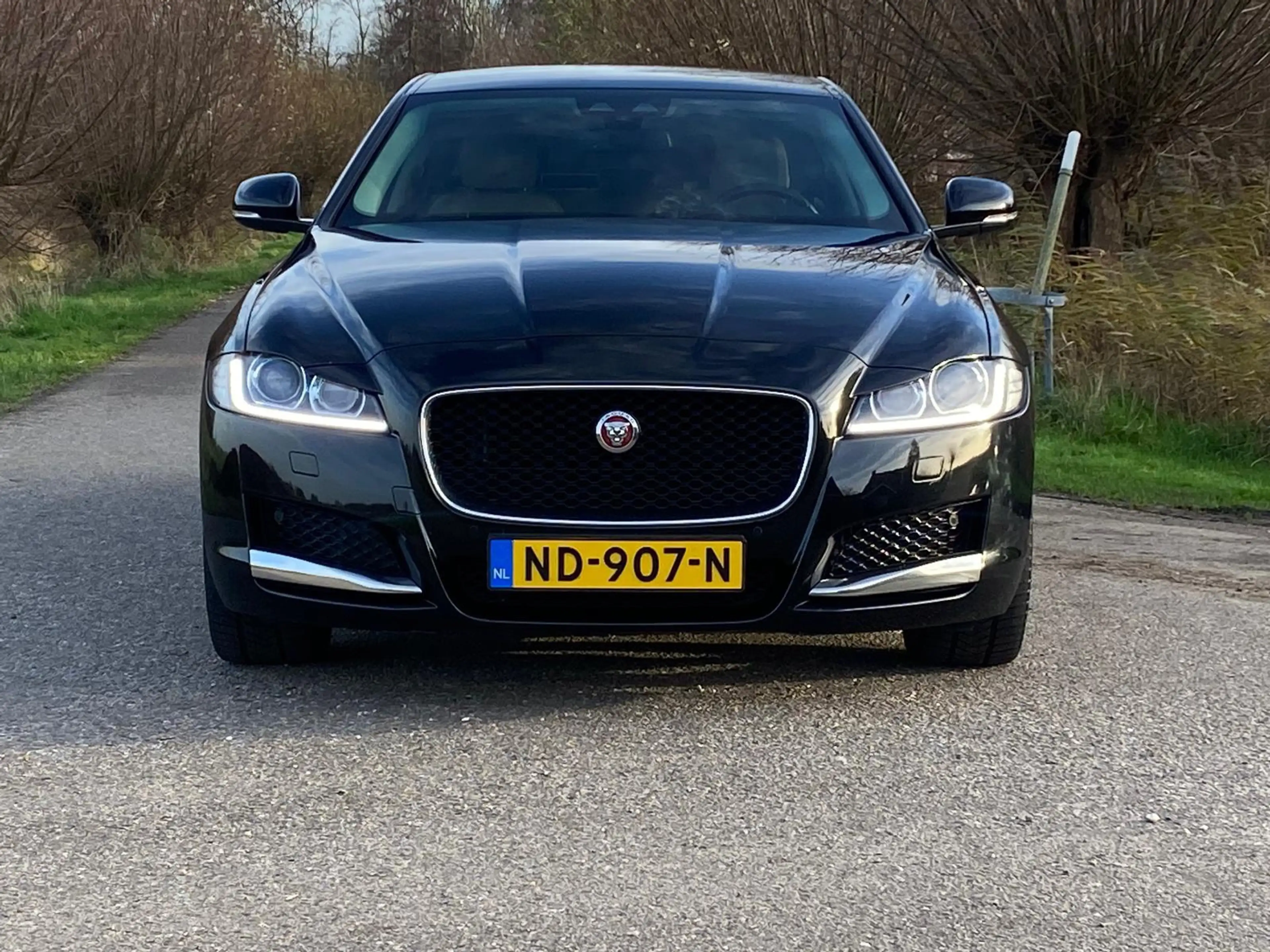 Jaguar XF 2.0 Portfolio Leder-Int NAVI CAMERA 241PK Org-NL C — photo 3