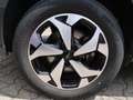 Ford Grand Tourneo Active Bi-LED 7-Sitzer AHK Rouge - thumbnail 19