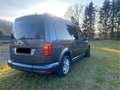Volkswagen Caddy Caddy Kombi Maxi Life Family 1,9 TDI DPF DSG Famil Grau - thumbnail 5