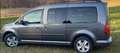 Volkswagen Caddy Caddy Kombi Maxi Life Family 1,9 TDI DPF DSG Famil Grau - thumbnail 3