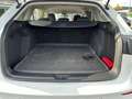 Volkswagen Golf Variant VIII Variant 2.0 TDI LIFE *LED *ACC *APP *SHZ *AL Blanc - thumbnail 15
