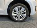Suzuki Swift Swift 5p 1.2 Allgrip 90CV Bianco - thumbnail 7