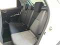Suzuki Swift Swift 5p 1.2 Allgrip 90CV Bianco - thumbnail 14