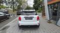 MINI Cooper S Countryman S All4 AUT/JCW/PANO/NAVI/H&K Blanc - thumbnail 5