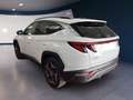Hyundai TUCSON III 2021 1.6 hev Exellence Lounge Pack 2wd auto Bianco - thumbnail 5