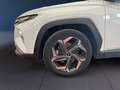 Hyundai TUCSON III 2021 1.6 hev Exellence Lounge Pack 2wd auto Bianco - thumbnail 8