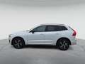 Volvo XC60 R Design D4 2WD, LED/KAM/GRA/NAVI/SHZ/KLIMA Weiß - thumbnail 6