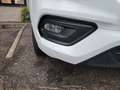 Ford Transit Custom 280 2.0 EcoBlue 130 aut. PC Titanium IVA INCLUSA Bianco - thumbnail 4