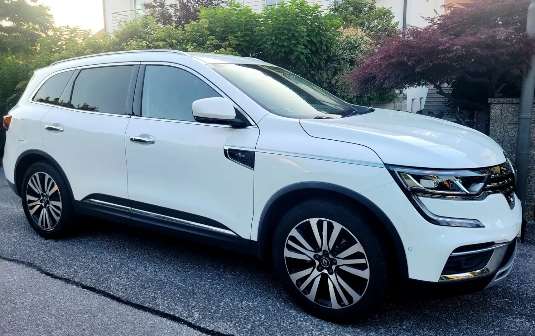 Renault Koleos dCi 150 2WD Initiale X-Tronic Aut. - 2