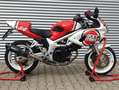 Suzuki SV 650 Tribute "Kevin Schwantz" Umbau Alb - thumbnail 11