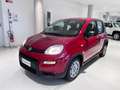 Fiat Panda 1.0 FireFly S&S Hybrid Pack City+Kit 5p Km.0 Rosso - thumbnail 2