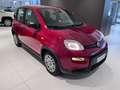 Fiat Panda 1.0 FireFly S&S Hybrid Pack City+Kit 5p Km.0 Rosso - thumbnail 3