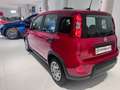 Fiat Panda 1.0 FireFly S&S Hybrid Pack City+Kit 5p Km.0 Rosso - thumbnail 8