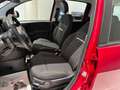 Fiat Panda 1.0 FireFly S&S Hybrid Pack City+Kit 5p Km.0 Rosso - thumbnail 11