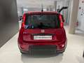 Fiat Panda 1.0 FireFly S&S Hybrid Pack City+Kit 5p Km.0 Rosso - thumbnail 6