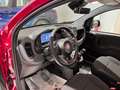 Fiat Panda 1.0 FireFly S&S Hybrid Pack City+Kit 5p Km.0 Rosso - thumbnail 10