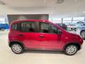 Fiat Panda 1.0 FireFly S&S Hybrid Pack City+Kit 5p Km.0 Rosso - thumbnail 4