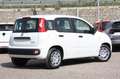Fiat Panda 1.0 S&S Hybrid NUOVO Schwarz - thumbnail 7