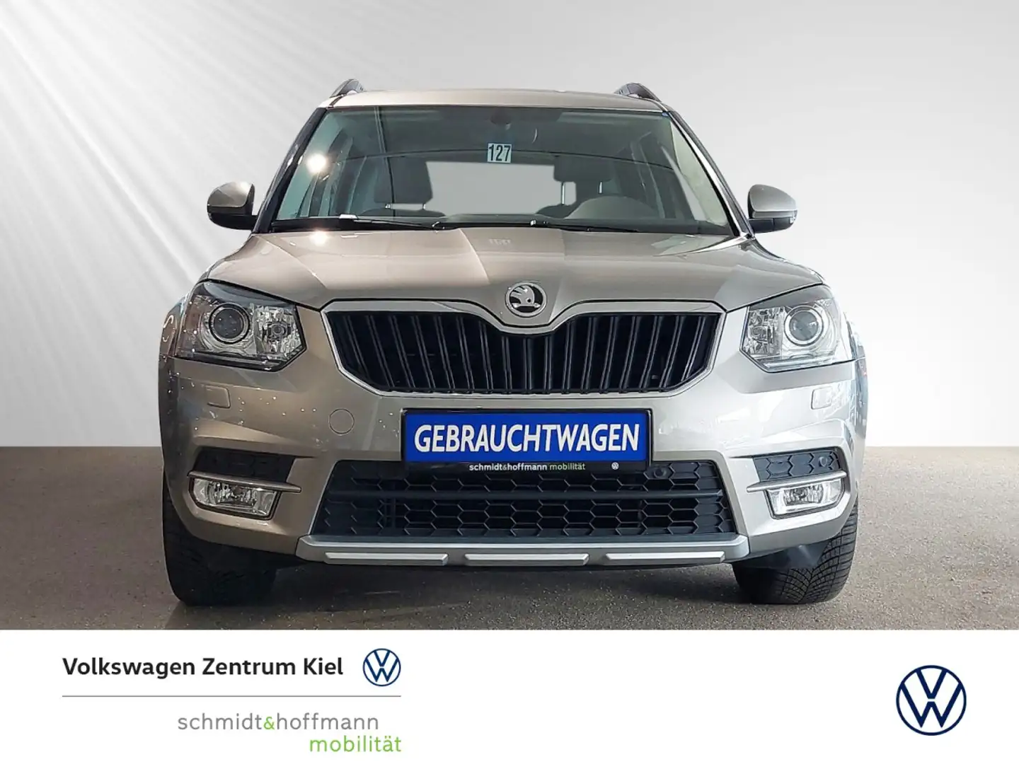 Skoda Yeti Joy 4x4 Green tec 1.4 TSI SITZHZ+AHK+PDC Klima Beige - 2