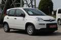 Fiat Panda Hybrid 1.0 GSE Blanc - thumbnail 1