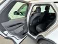 Land Rover Discovery 5 D250 AWD*Led*Hybrid 48V*Scheckheft Weiß - thumbnail 21