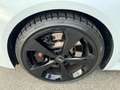 Audi A3 RS 3 SPB 2.5 400cv QUATTRO S-tronic Bianco - thumbnail 7