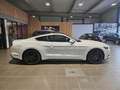 Ford Mustang VI COUPE 2.3 ECOBOOST 317 ECOBOOST Blanc - thumbnail 11