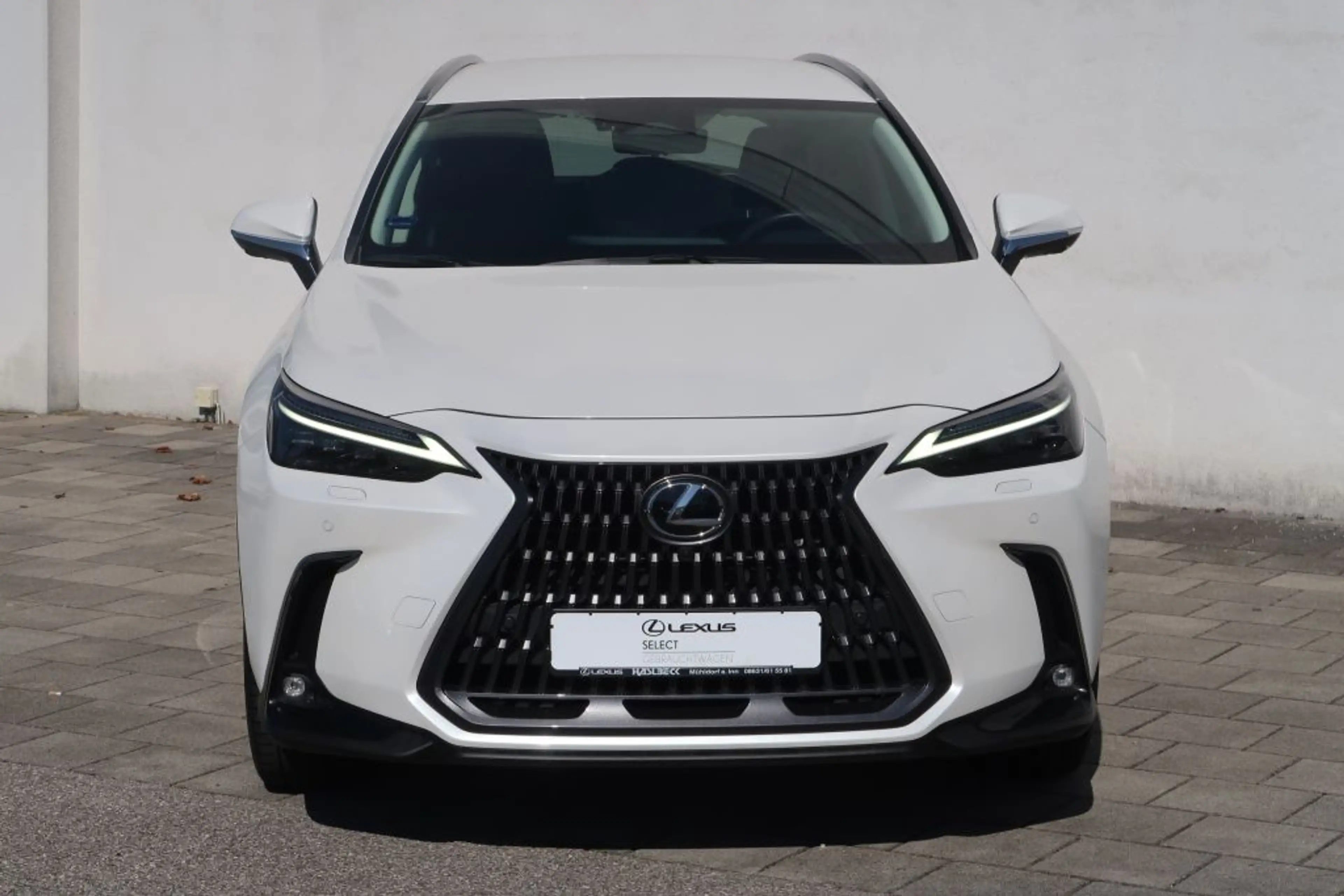 Lexus NX 450h+ E-FOUR Luxury-Paket — photo 9